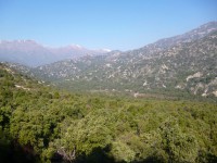 /album/cajon-y-pirque/rio-clarillo2-jpg/